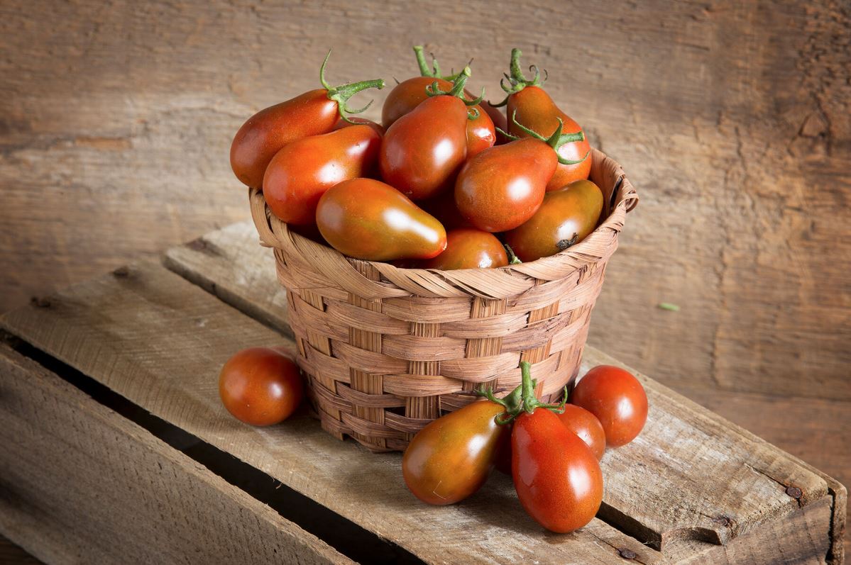 Chocolate Pear – Tomato Seed